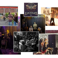 Lucioles Live