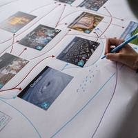 Atelier Fresque du Climat à 13h30 // ///Roda brésilien à 20h30 (voir agenda)