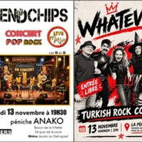 Friendchips et Whatever