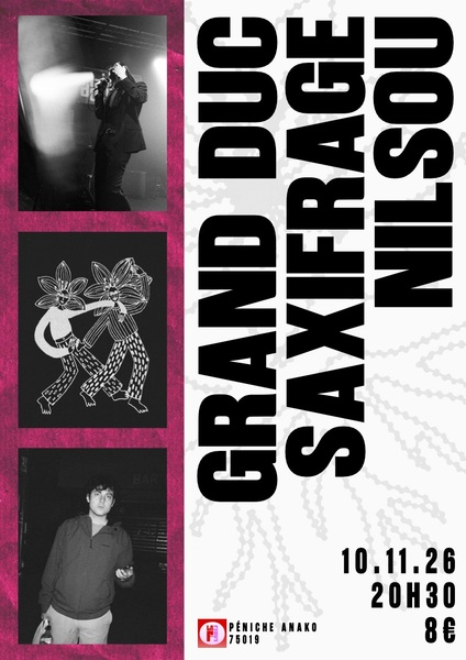Grandduc_nilsou_saxifrage_anako