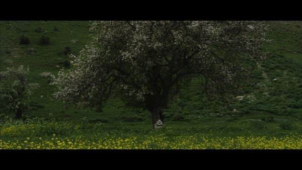 Soirée William Saroyan: film "SaroyanLand" de Lusin Dink, avec Dickran Kouymjian