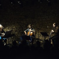 Tango Libre Trio en concert